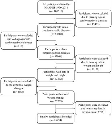 Weight changes from early to middle adulthood and cardiometabolic multimorbidity later in life among middle-aged and older adults: a retrospective cohort study from the NHANES 1999-2018